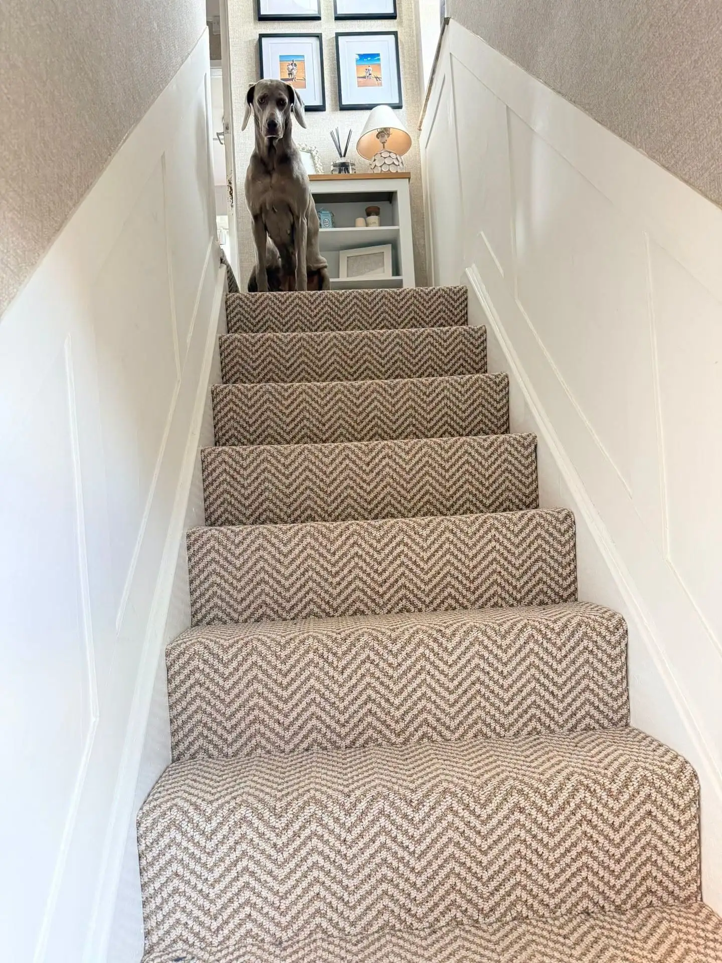 Customer carpet photo